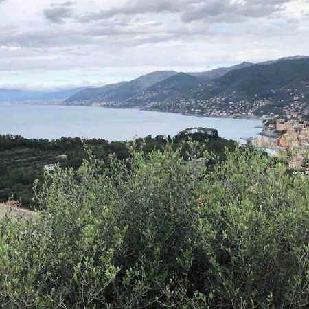 Acqua Marina Apartment Camogli Bagian luar foto