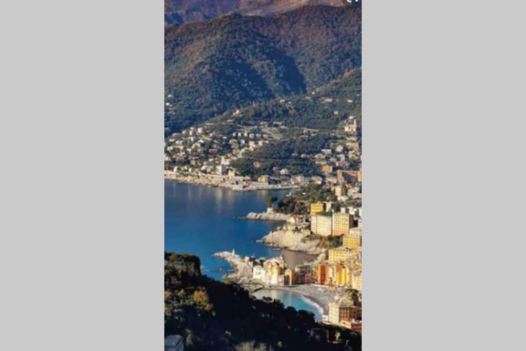 Acqua Marina Apartment Camogli Bagian luar foto