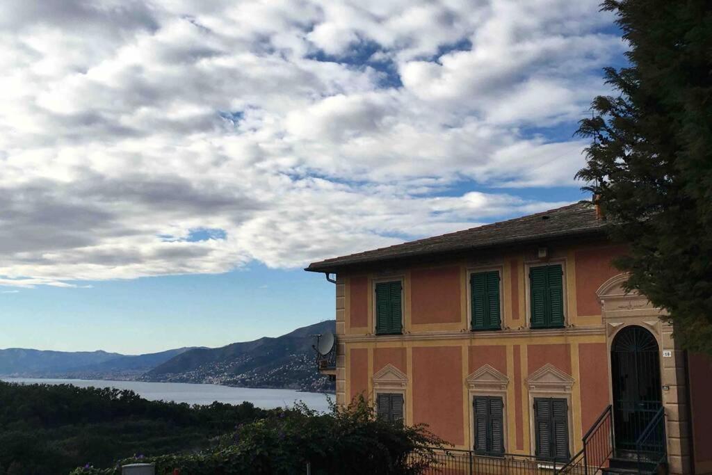 Acqua Marina Apartment Camogli Bagian luar foto