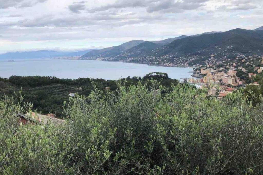 Acqua Marina Apartment Camogli Bagian luar foto